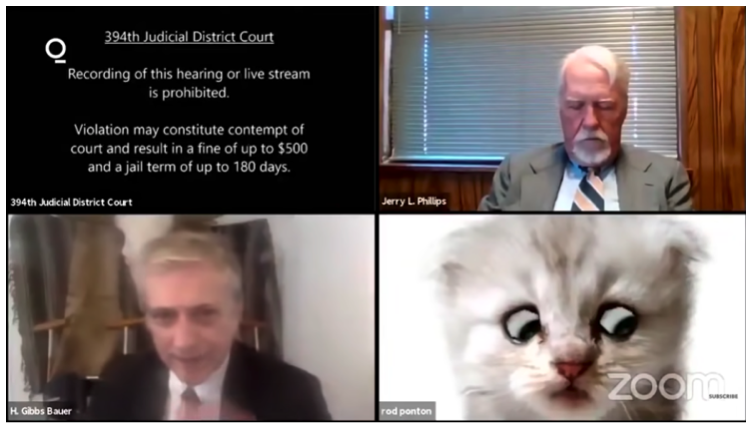 Zoom meeting screenshot of 394th Judicial District Court where 1 person looks like a cat